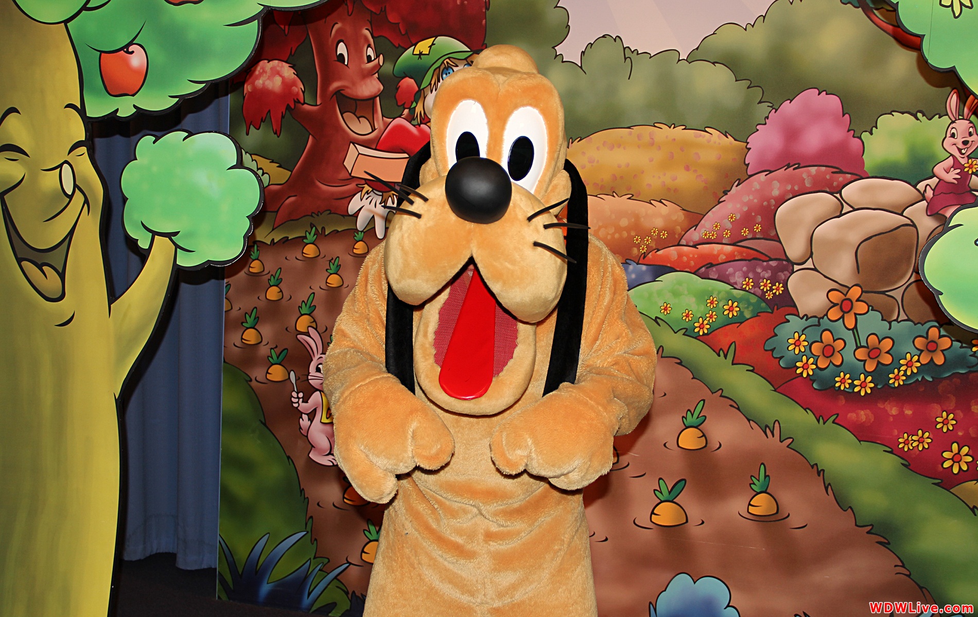 Pluto - Mickey Mouse Pictures