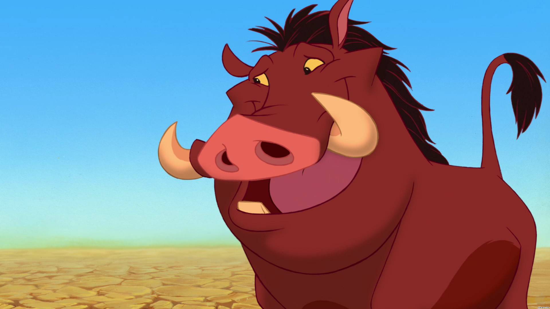 Timon & Pumbaa - Mickey Mouse Pictures